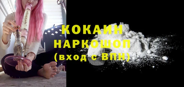 гидропоника Няндома