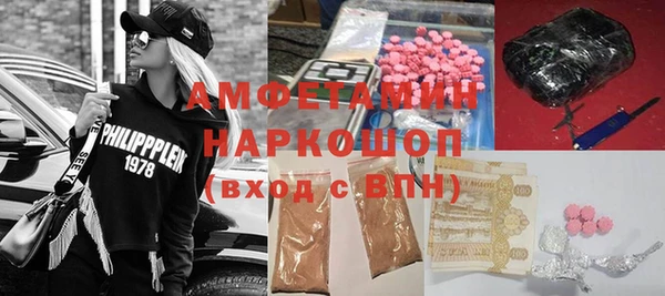 гидра Богданович