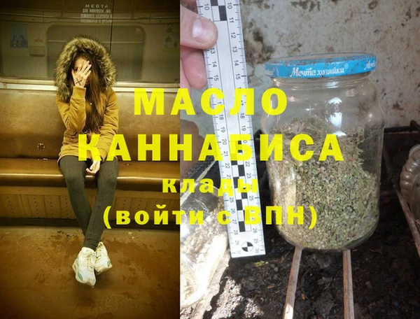 индика Осинники