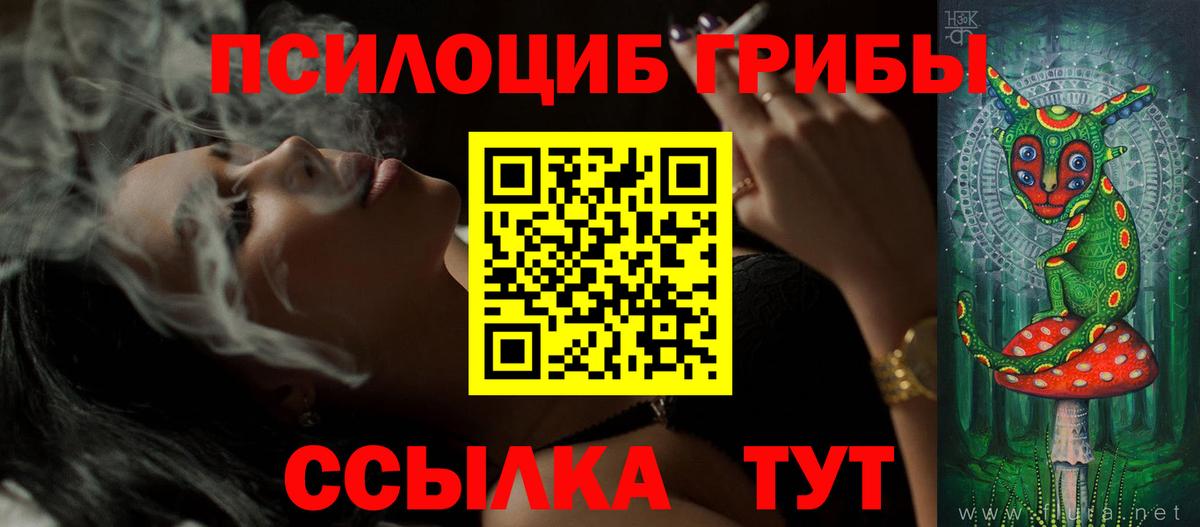 Сорочинск  Галлюциногенные грибы прущие грибы  Вход с VPN 