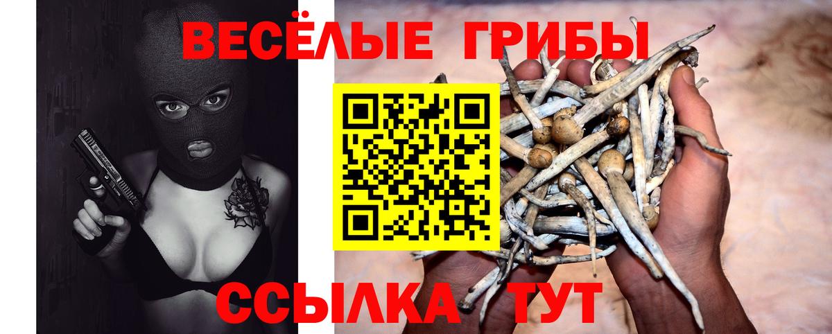 Псилоцибиновые грибы Psilocybine cubensis Сорочинск