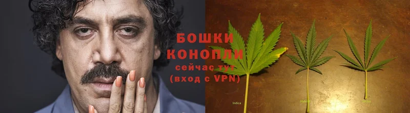 Бошки Шишки OG Kush  Сорочинск 